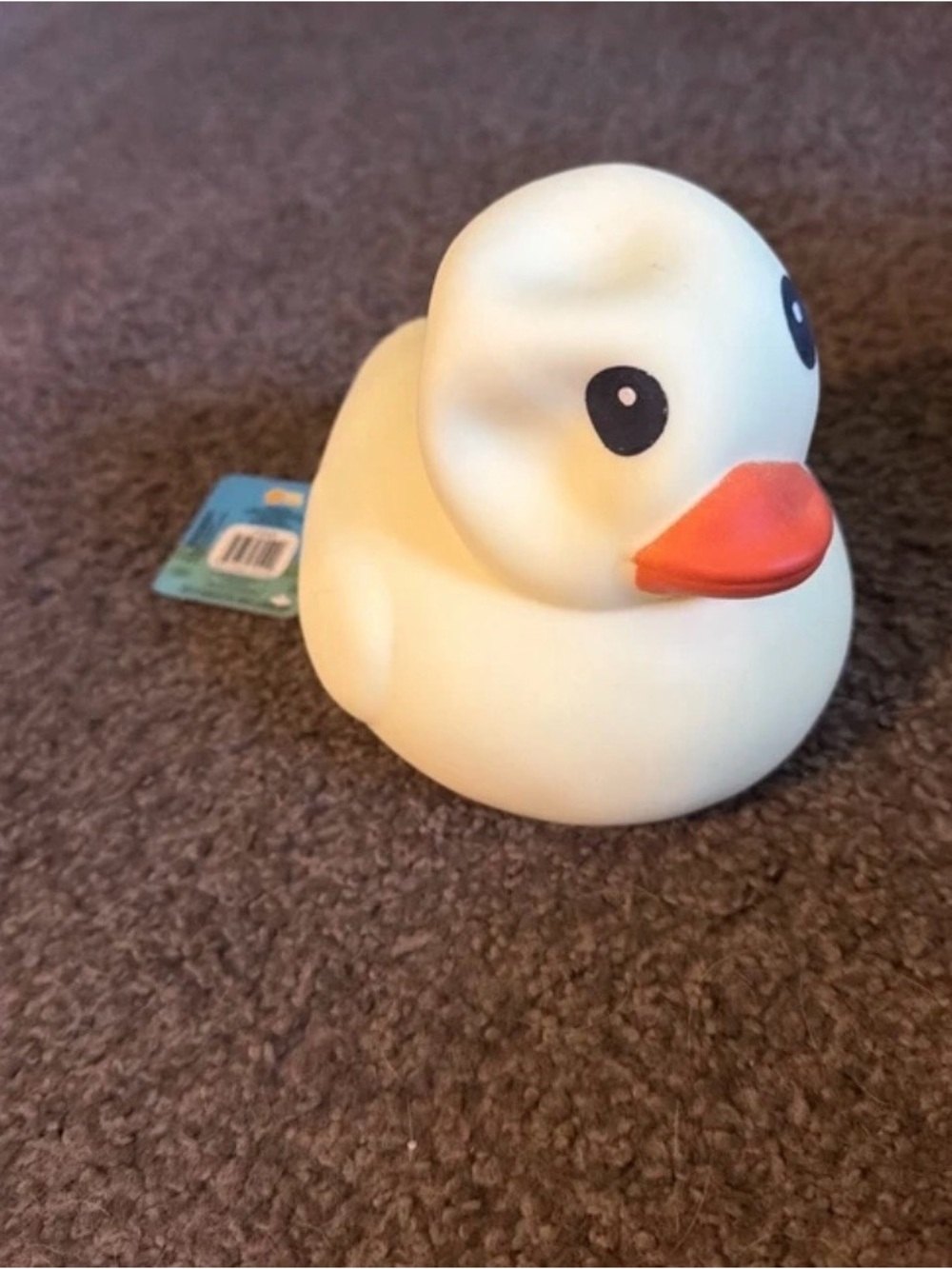 Squishy Duck
